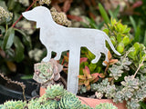 Dachshund Garden Stake